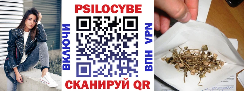 Галлюциногенные грибы Psilocybine cubensis  дарнет шоп  Тбилисская 
